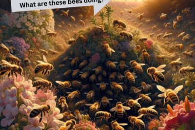 Marketing Lesson from Honey Bees